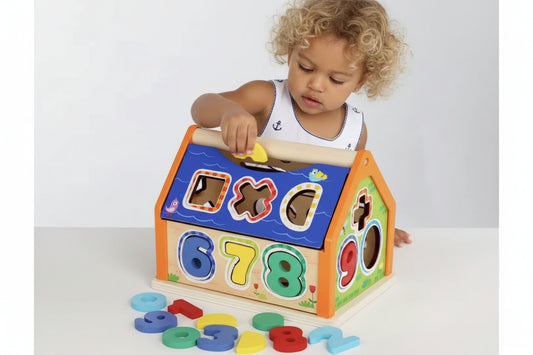 Montessori-Inspired Digital Shape Smart House